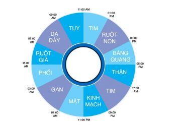 8 khung giờ giải độc cho cơ thể