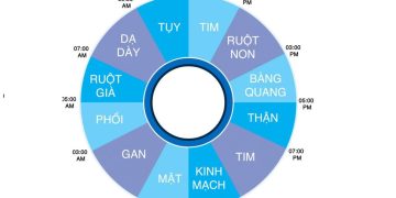 8 khung giờ giải độc cho cơ thể